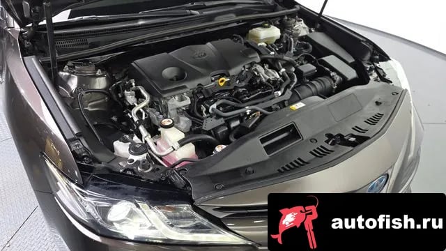 Toyota Camry Camry (XV70) 2019 года - вид 6