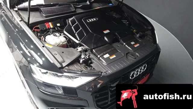 Audi Q8 Q8 (4M) 2023 года - вид 6