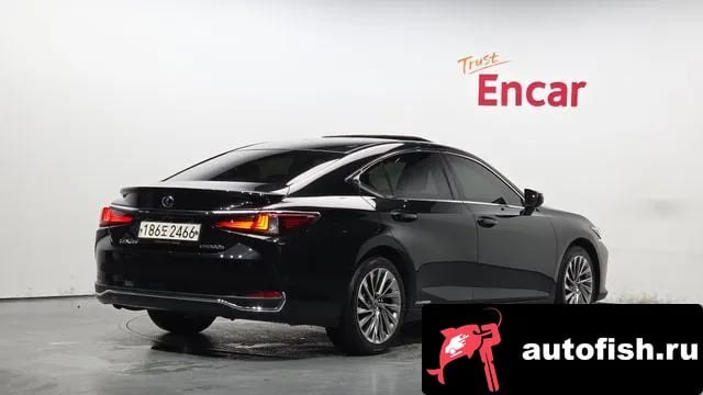 Lexus ES ES300h 7th generation 2021 года - вид 1