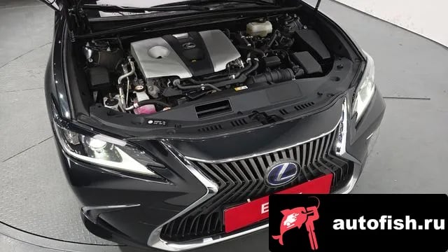 Lexus ES ES300h 7th generation 2021 года - вид 5