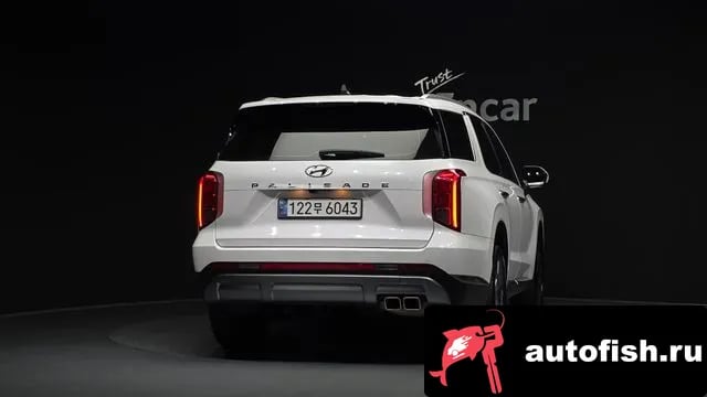 Hyundai Palisade The New Palisade 2024 года - вид 4