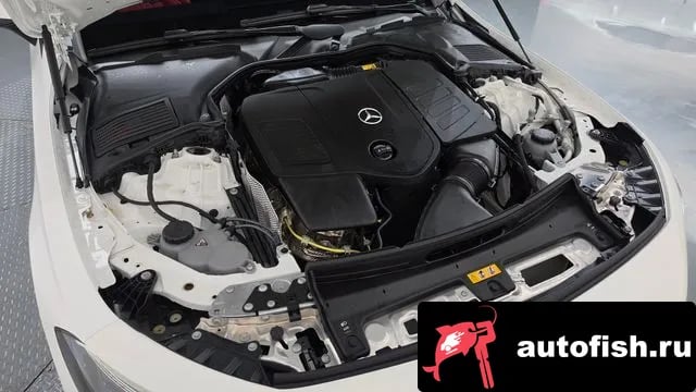 Mercedes-Benz CLE-Class CLE-Class C236 2024 года - вид 6