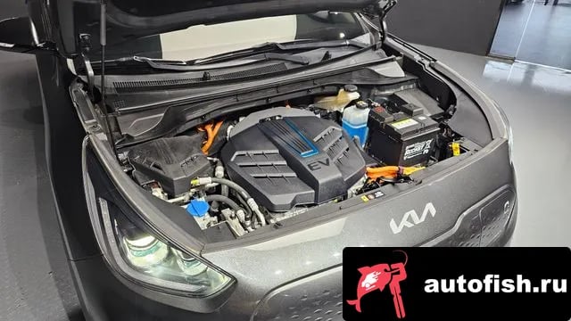 Kia Niro Niro EV 2021 года - вид 6