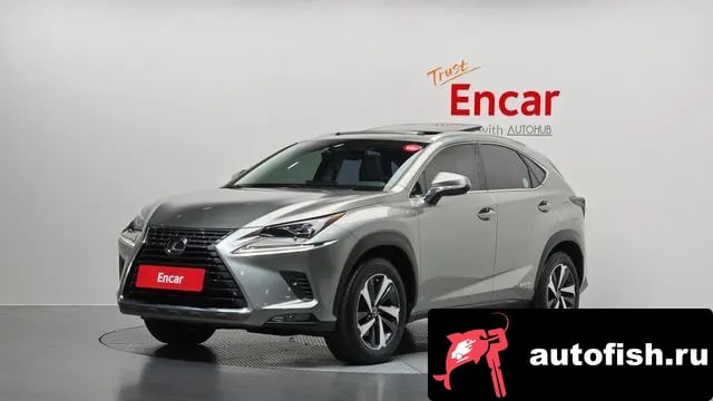 Lexus NX NX300h 2021 года - автомобиль из Южной Кореи