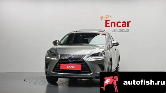 Lexus NX NX300h 2021 года - вид 3