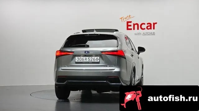 Lexus NX NX300h 2021 года - вид 4