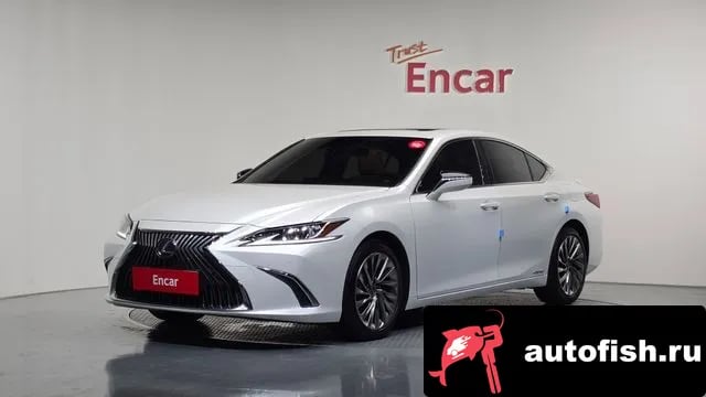 Lexus ES ES300h 7th generation 2020 года - вид 1