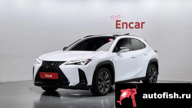 Lexus UX UX250h 2024 года - вид 1