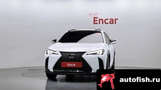 Lexus UX UX250h 2024 года - вид 3