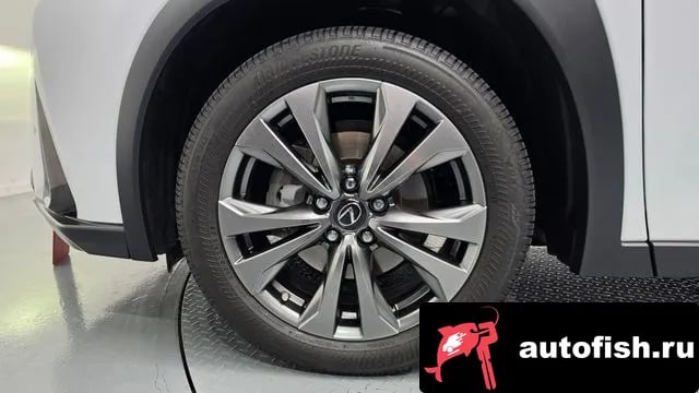 Lexus UX UX250h 2024 года - вид 5
