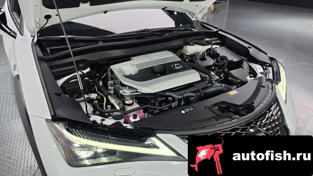Lexus UX UX250h 2024 года - вид 6