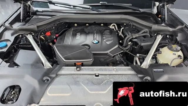 BMW X4 X4 (G02) 2019 года - вид 6