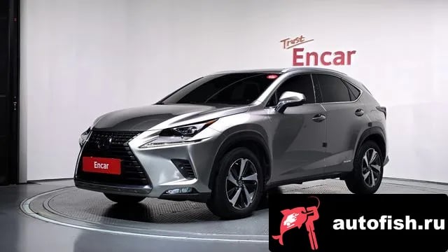 Lexus NX NX300h 2020 года - автомобиль из Южной Кореи