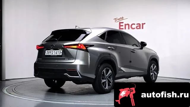 Lexus NX NX300h 2020 года - вид 2