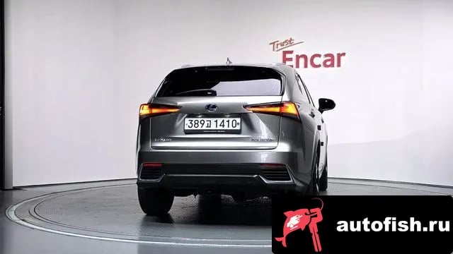 Lexus NX NX300h 2020 года - вид 4