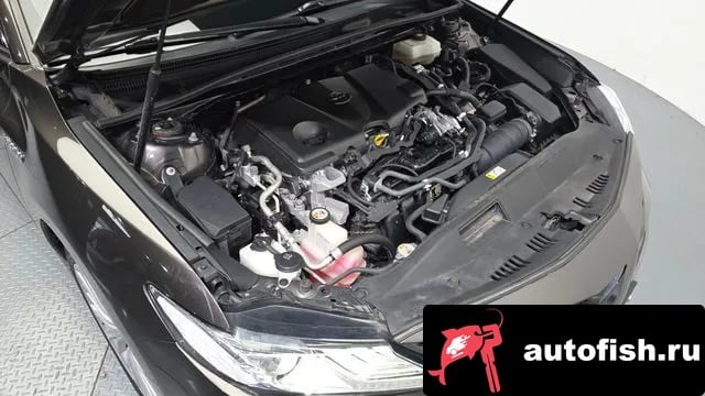 Toyota Camry Camry (XV70) 2019 года - вид 6