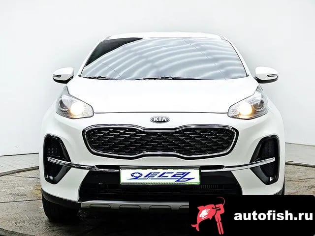 Kia Sportage Sportage The Bold 2020 года - вид 1