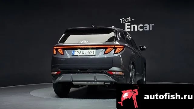 Hyundai Tucson Tucson (NX4) 2023 года - вид 4