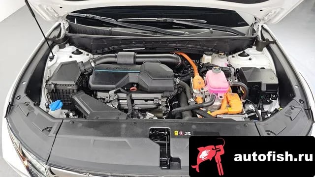Hyundai Tucson Tucson Hybrid (NX4) 2023 года - вид 6