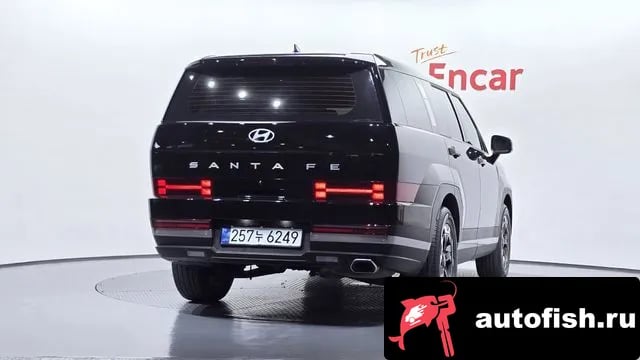 Hyundai Santafe San Tafe (MX5) 2025 года - вид 4