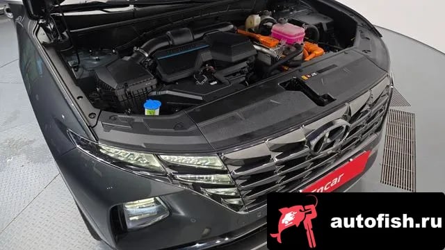 Hyundai Tucson Tucson Hybrid (NX4) 2023 года - вид 6