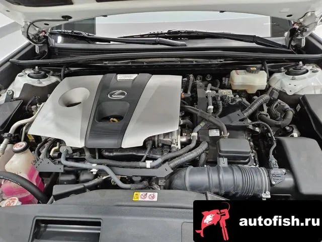 Lexus ES ES300h 7th generation 2020 года - вид 6