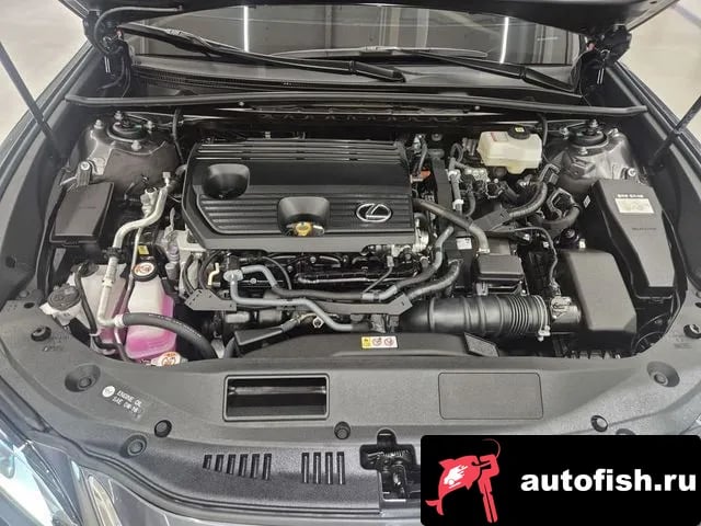 Lexus ES ES300h 7th generation 2025 года - вид 6