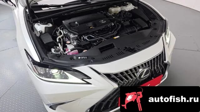 Lexus ES ES300h 7th generation 2024 года - вид 6