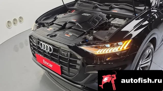 Audi Q8 Q8 (4M) 2023 года - вид 6