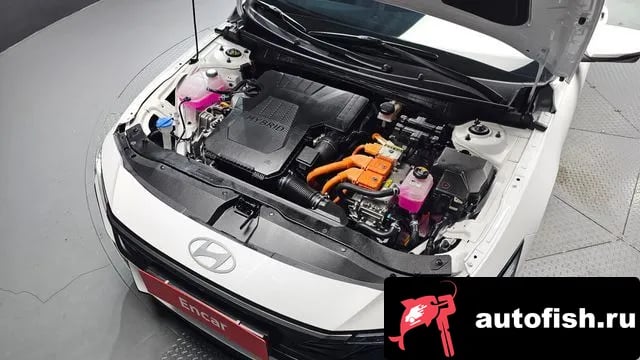 Hyundai AVANTE The New Avante Hybrid (CN7) 2025 года - вид 6