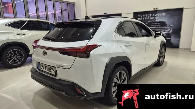 Lexus UX UX300h 2025 года - вид 2