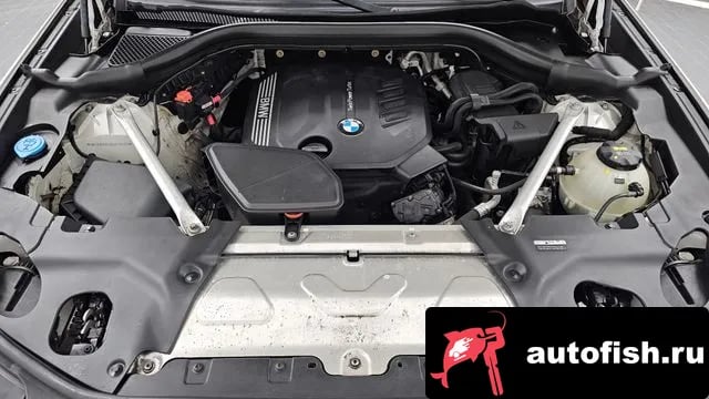 BMW X4 X4 (G02) 2019 года - вид 6