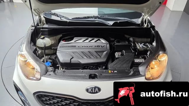 Kia Sportage Sportage The Bold 2018 года - вид 6