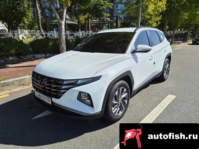 Hyundai Tucson Tucson (NX4) 2023 года - вид 1