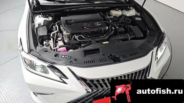 Lexus ES ES300h 7th generation 2024 года - вид 6