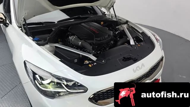 Kia Stinger Stinger Meister 2022 года - вид 6