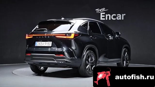 Lexus NX NX350h Second generation 2025 года - вид 2