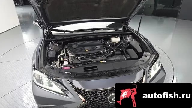 Lexus ES ES300h 7th generation 2024 года - вид 6