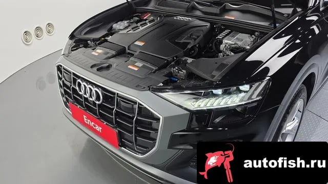 Audi Q8 Q8 (4M) 2023 года - вид 6
