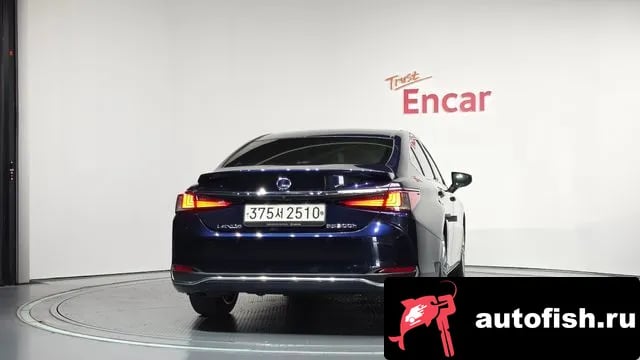 Lexus ES ES300h 7th generation 2021 года - вид 4