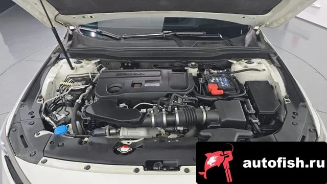 Honda Accord Accord 10th Generation 2019 года - вид 6