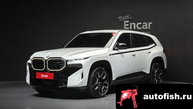 BMW XM XM (G09) 2024 года - вид 1