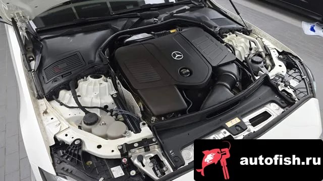 Mercedes-Benz C-Class C-Class W206 2023 года - вид 6