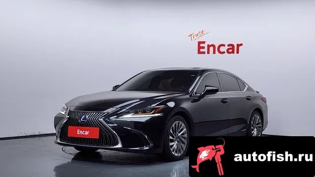 Lexus ES ES300h 7th generation 2021 года - автомобиль из Южной Кореи