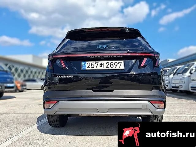 Hyundai Tucson The New Tucson Hybrid (NX4) 2024 года - вид 6
