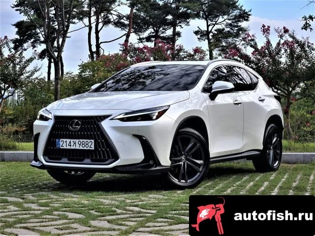 Lexus NX NX350h Second generation 2025 года - автомобиль из Южной Кореи
