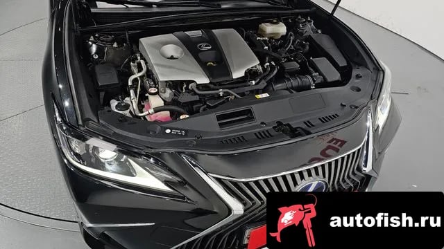 Lexus ES ES300h 7th generation 2018 года - вид 6