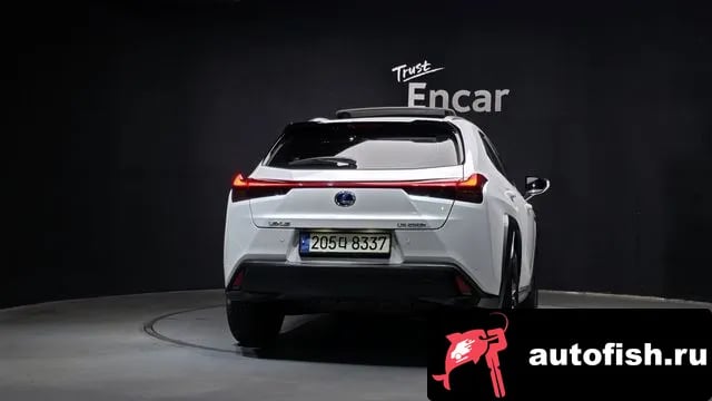 Lexus UX UX250h 2021 года - вид 4