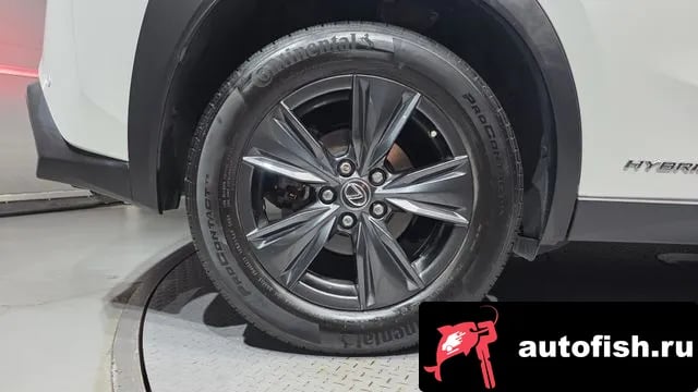 Lexus UX UX250h 2021 года - вид 5