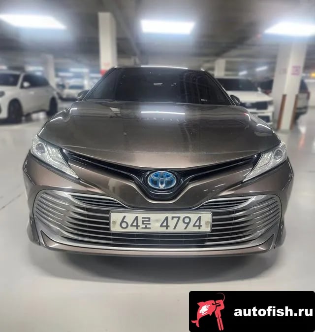 Toyota Camry Camry (XV70) 2019 года - вид 1